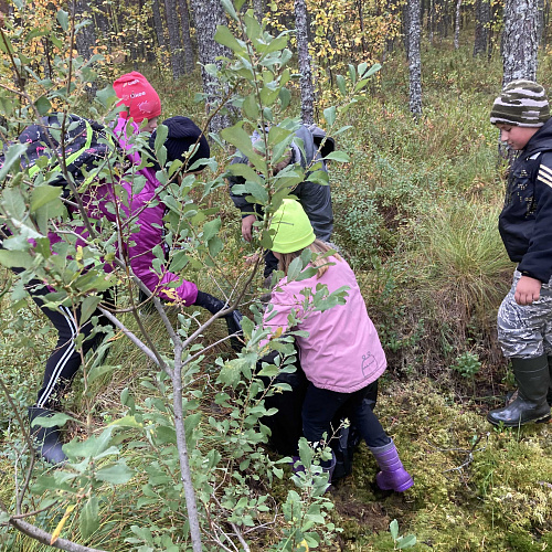 Эссойла, Сямозеро, 18.09.2021