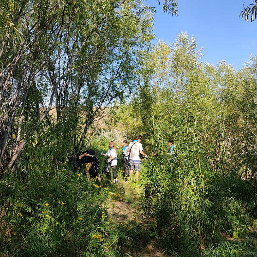 Усть-Вымский р-н, река Вымь, 05.08.2022