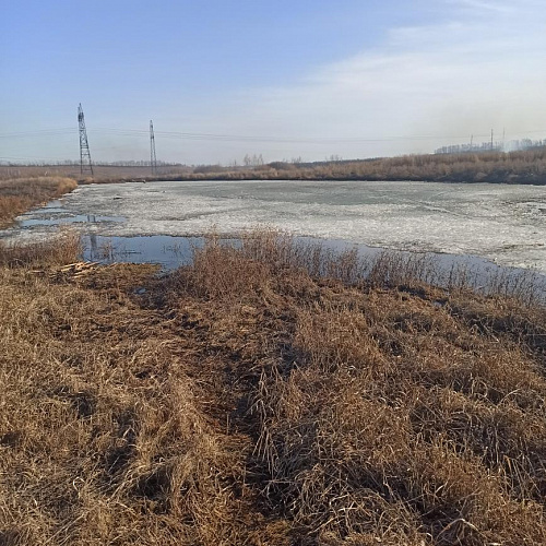 Акция "Вода России" в Пензенской области