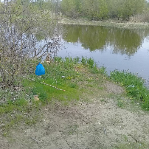Акция "Вода России" в Ростовской области