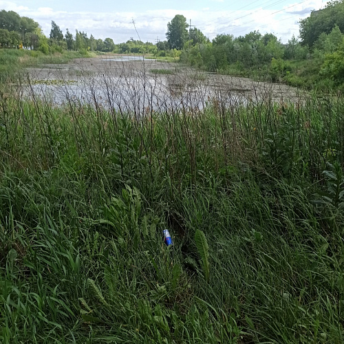 Тверь, р. Лазурь, 07.06.2023